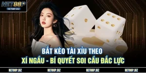 Bắt Kèo Tài Xỉu Theo Xí Ngầu - Bí Quyết Soi Cầu Đắc Lực