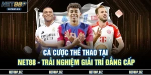 Cá Cược Thể Thao Tại NET88 - Trải Nghiệm Giải Trí Đẳng Cấp