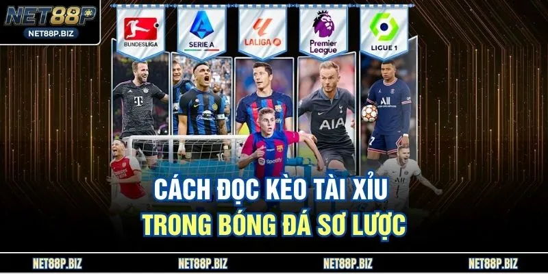 Cách đọc kèo tài xỉu trong bóng đá sơ lược