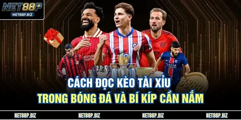 Cách đọc kèo tài xỉu trong bóng đá và bí kíp cần nắm
