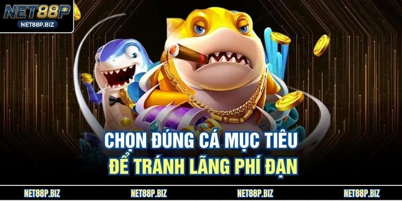 Chọn đúng cá mục tiêu để tránh lãng phí đạn