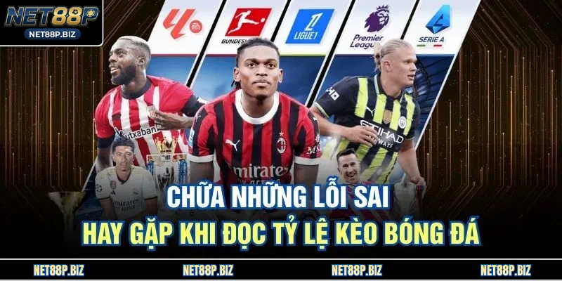 Chữa những lỗi sai hay gặp khi đọc tỷ lệ kèo bóng đá