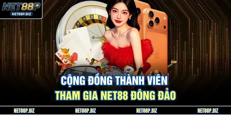 Cộng đồng thành viên tham gia NET88 đông đảo