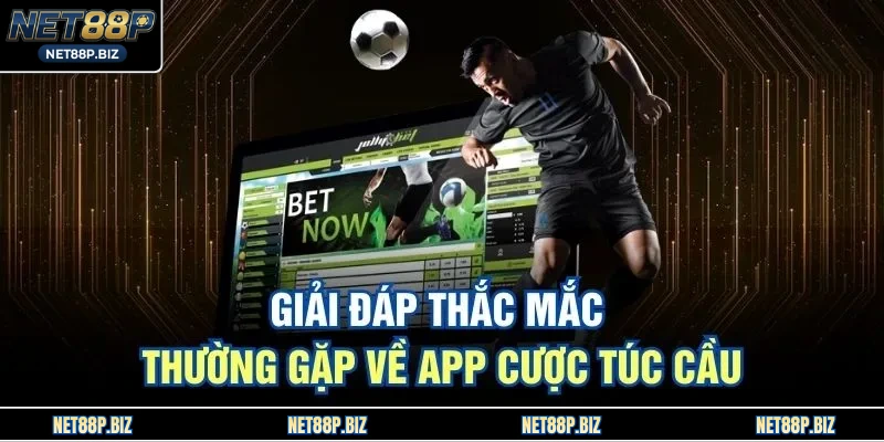 Giải đáp thắc mắc thường gặp về app cược túc cầu