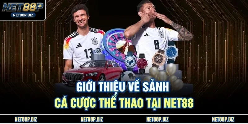 Giới thiệu về sảnh cá cược thể thao tại NET88