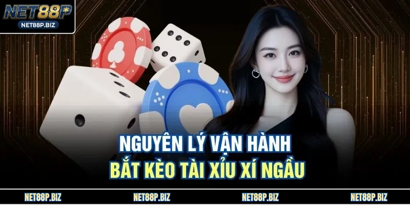Nguyên lý vận hành bắt kèo tài xỉu xí ngầu