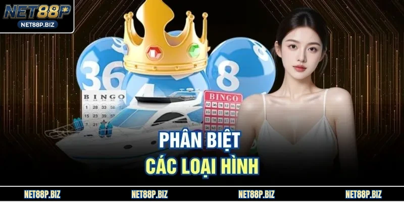 Phân biệt các loại hình