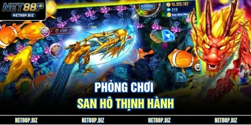 Phòng chơi san hô thịnh hành 