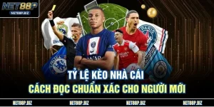 Tỷ Lệ Kèo Nhà Cái - Cách Đọc Chuẩn Xác Cho Người Mới